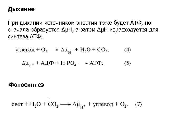 Дыхание При дыхании источником энергии тоже будет АТФ, но сначала образуется ΔμΗ, а затем