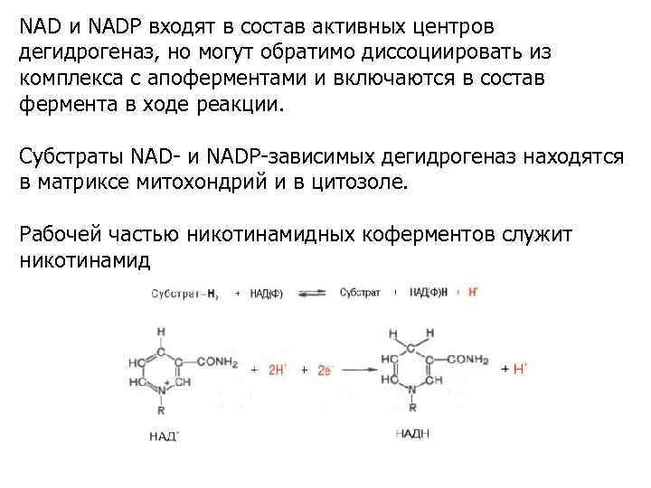 NAD и NADP входят в состав активных центров дегидрогеназ, но могут обратимо диссоциировать из