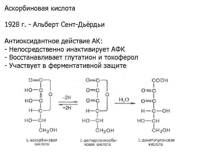 Аскорбиновая кислота 1928 г. - Альберт Сент-Дьёрдьи Антиоксидантное действие АК: - Непосредственно инактивирует АФК