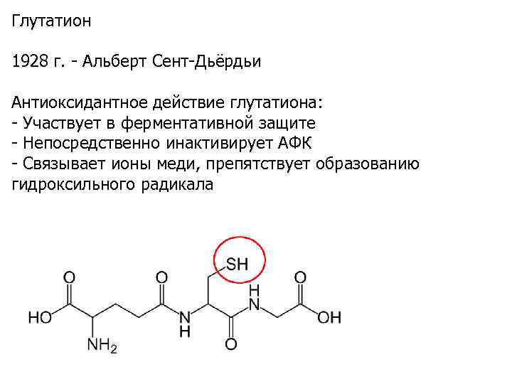 Глутатион 1928 г. - Альберт Сент-Дьёрдьи Антиоксидантное действие глутатиона: - Участвует в ферментативной защите