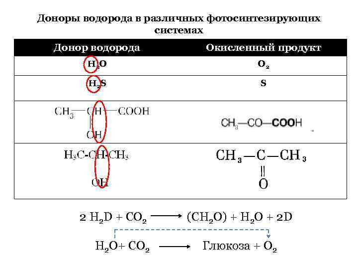 Доноры водорода в различных фотосинтезирующих системах Донор водорода Окисленный продукт Н 2 О O