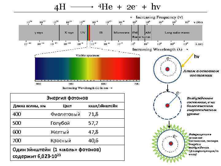 4 Н 4 He + 2 e- + hv hv e- Атом в основном