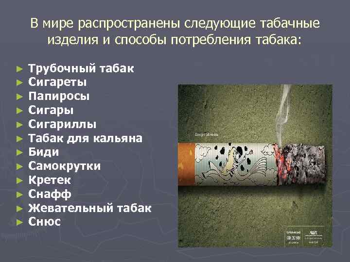 В мире распространены следующие табачные изделия и способы потребления табака: ► ► ► Трубочный