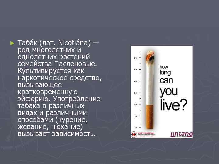 ► Таба к (лат. Nicotiána) — род многолетних и однолетних растений семейства Паслёновые. Культивируется