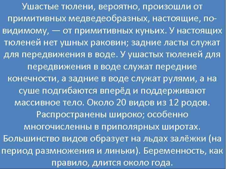 Ушастые тюлени, вероятно, произошли от примитивных медведеобразных, настоящие, повидимому, — от примитивных куньих. У