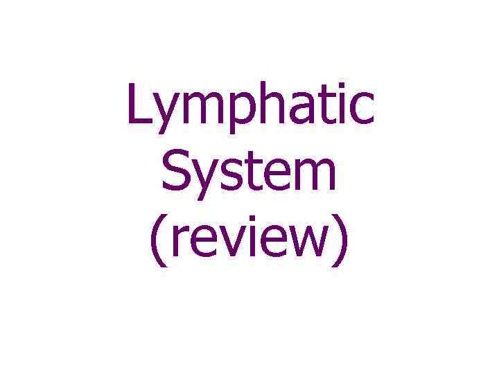 Lymphatic System (review) 