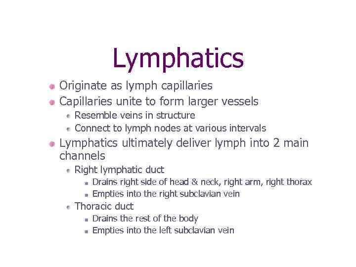 Lymphatics Originate as lymph capillaries Capillaries unite to form larger vessels Resemble veins in