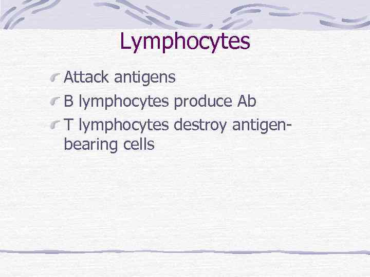 Lymphocytes Attack antigens B lymphocytes produce Ab T lymphocytes destroy antigenbearing cells 