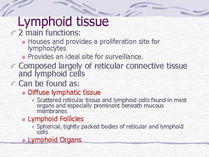 Lymphoid tissue 2 main functions: Houses and provides a proliferation site for lymphocytes Provides