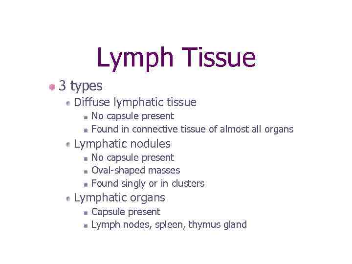 Lymph Tissue 3 types Diffuse lymphatic tissue No capsule present Found in connective tissue