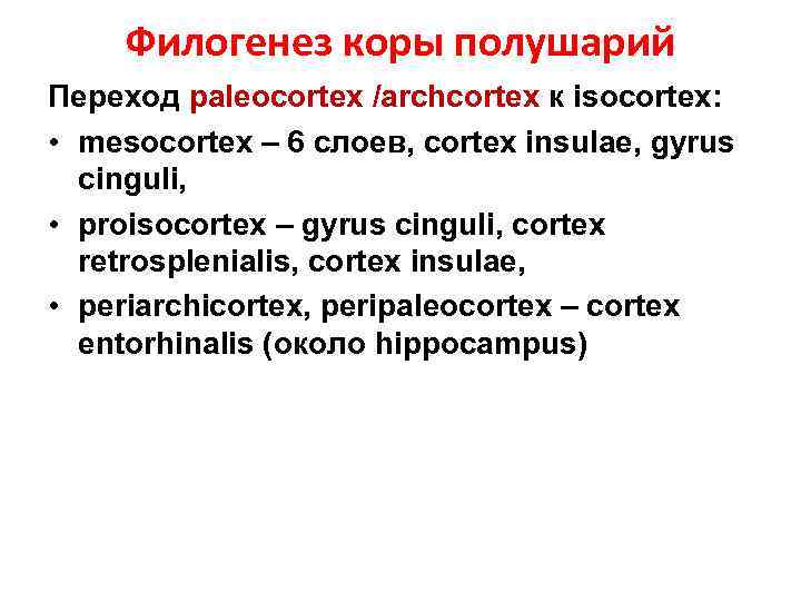 Филогенез коры полушарий Переход paleocortex /archcortex к isocortex: • mesocortex – 6 слоев, cortex