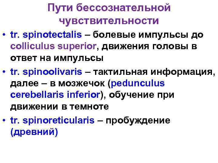 Пути бессознательной чувствительности • tr. spinotectalis – болевые импульсы до colliculus superior, движения головы