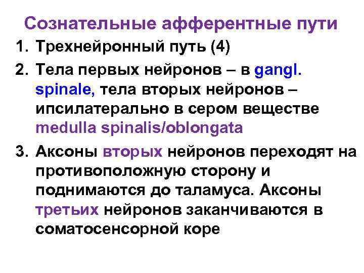 Сознательные афферентные пути 1. Трехнейронный путь (4) 2. Тела первых нейронов – в gangl.