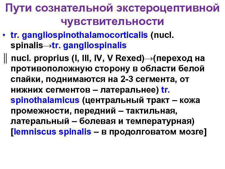 Пути сознательной экстероцептивной чувствительности • tr. gangliospinothalamocorticalis (nucl. spinalis→tr. gangliospinalis ║ nucl. proprius (I,