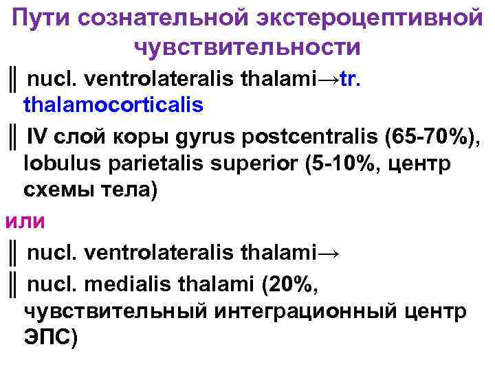 Пути сознательной экстероцептивной чувствительности ║ nucl. ventrolateralis thalami→tr. thalamocorticalis ║ IV слой коры gyrus