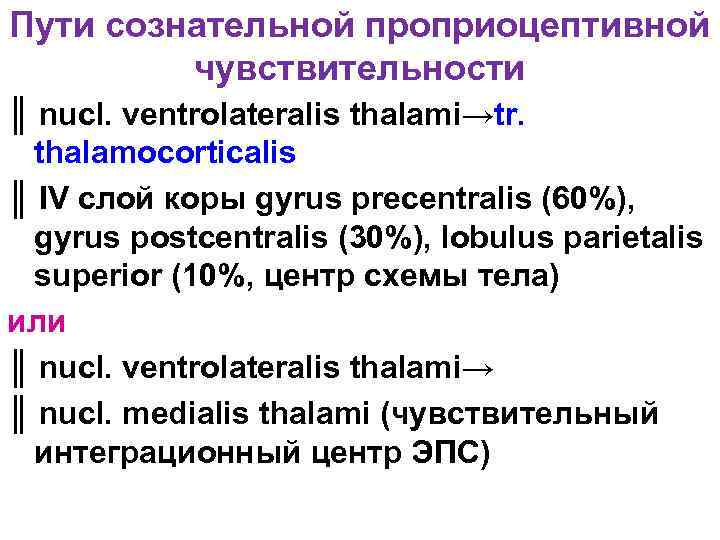 Пути сознательной проприоцептивной чувствительности ║ nucl. ventrolateralis thalami→tr. thalamocorticalis ║ IV слой коры gyrus