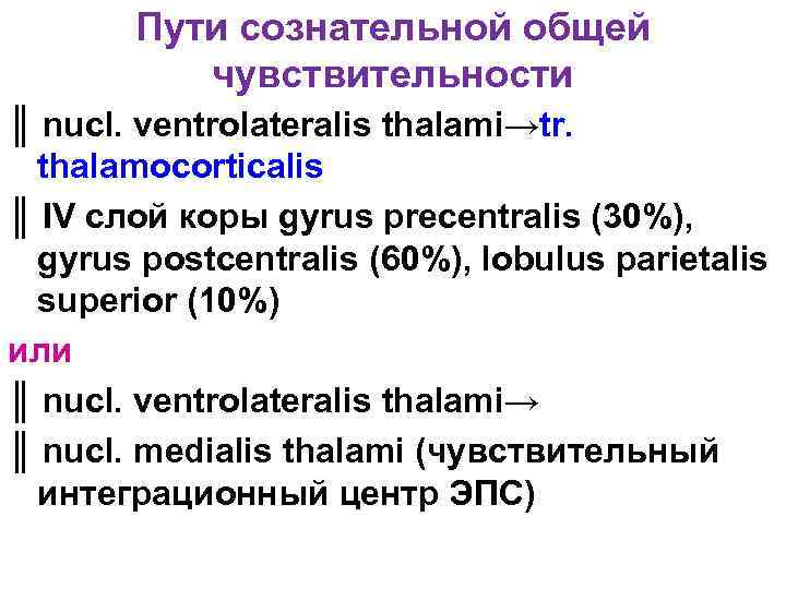 Пути сознательной общей чувствительности ║ nucl. ventrolateralis thalami→tr. thalamocorticalis ║ IV слой коры gyrus