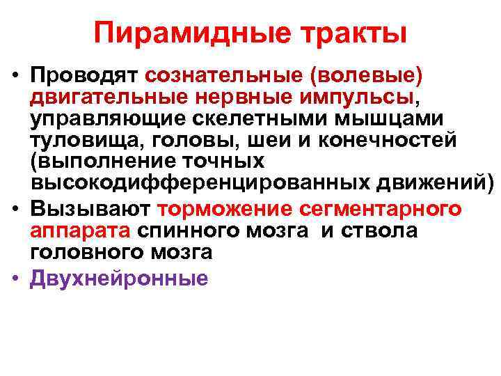 Пирамидные тракты • Проводят сознательные (волевые) двигательные нервные импульсы, управляющие скелетными мышцами туловища, головы,