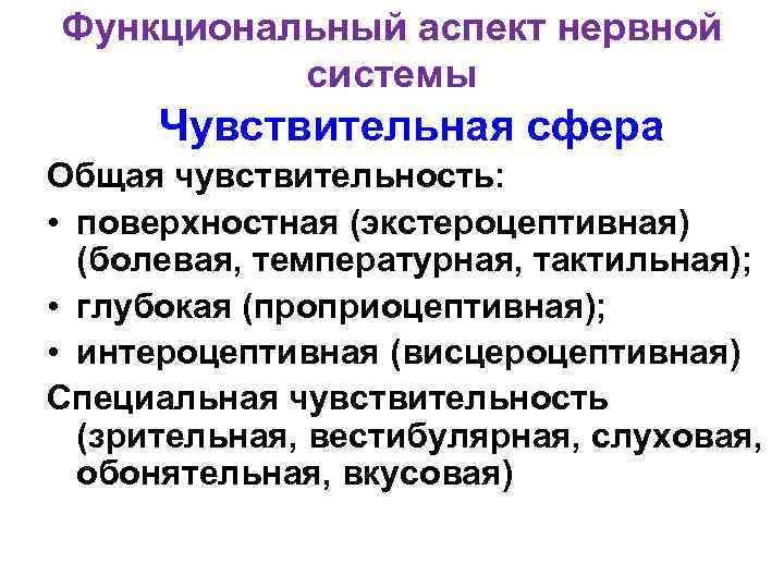 Функциональный аспект нервной системы Чувствительная сфера Общая чувствительность: • поверхностная (экстероцептивная) (болевая, температурная, тактильная);