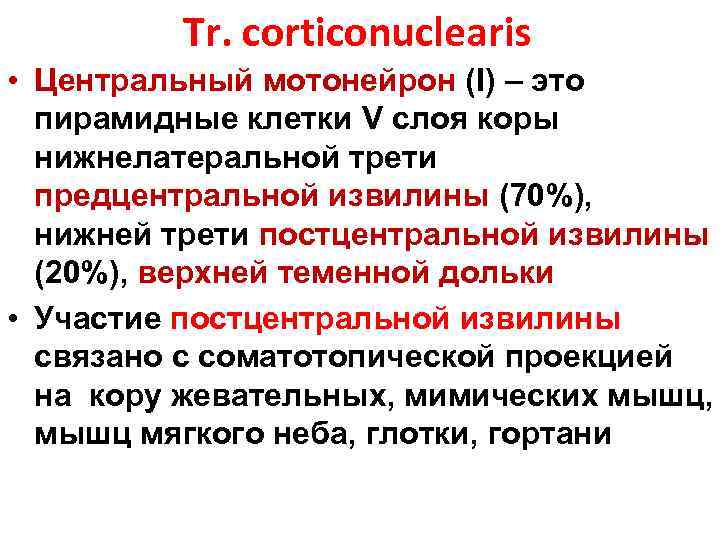 Tr. corticonuclearis • Центральный мотонейрон (I) – это пирамидные клетки V слоя коры нижнелатеральной