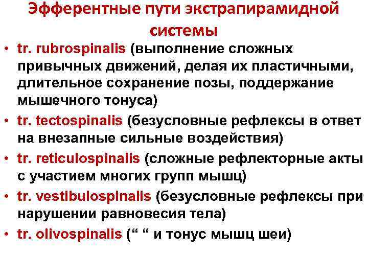 Эфферентные пути экстрапирамидной системы • tr. rubrospinalis (выполнение сложных привычных движений, делая их пластичными,