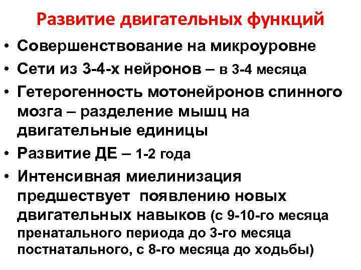 Развитие двигательных функций • Совершенствование на микроуровне • Сети из 3 -4 -х нейронов