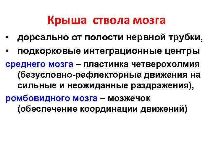 Крыша ствола мозга • дорсально от полости нервной трубки, • подкорковые интеграционные центры среднего