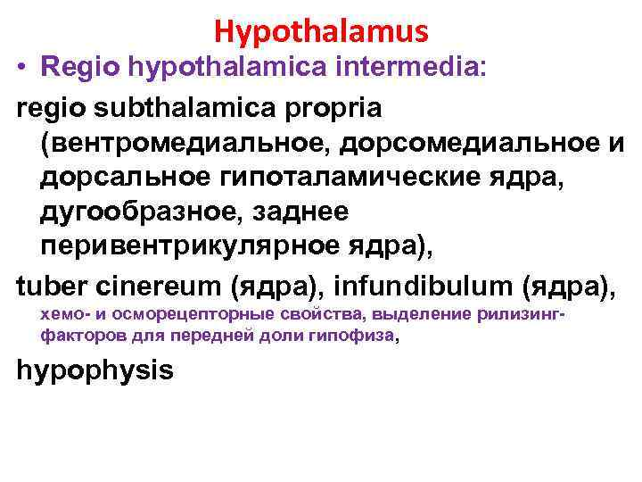 Hypothalamus • Regio hypothalamica intermedia: regio subthalamica propria (вентромедиальное, дорсомедиальное и дорсальное гипоталамические ядра,