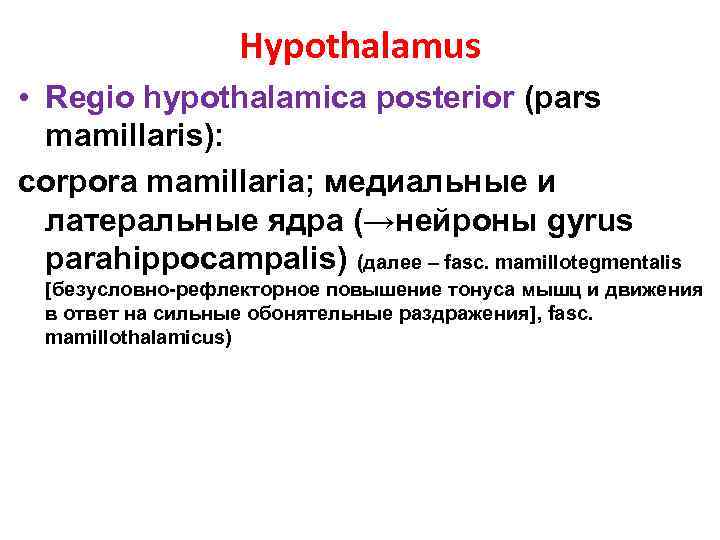 Hypothalamus • Regio hypothalamica posterior (pars mamillaris): corpora mamillaria; медиальные и латеральные ядра (→нейроны