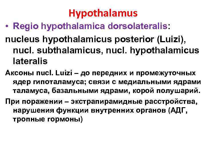 Hypothalamus • Regio hypothalamica dorsolateralis: nucleus hypothalamicus posterior (Luizi), nucl. subthalamicus, nucl. hypothalamicus lateralis