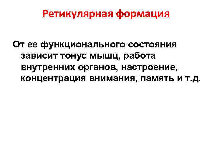 Ретикулярная формация От ее функционального состояния зависит тонус мышц, работа внутренних органов, настроение, концентрация