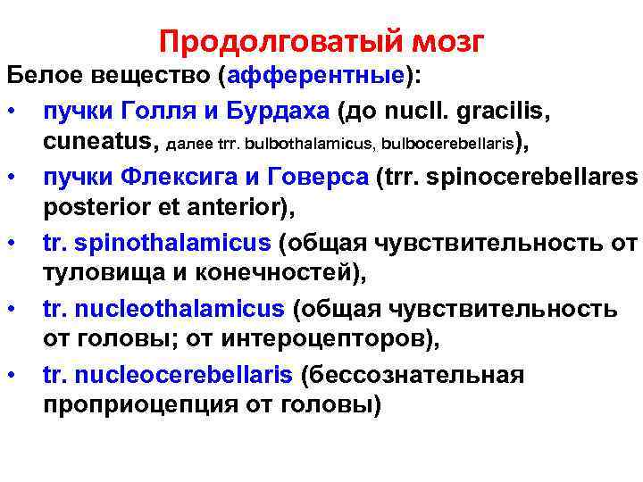 Продолговатый мозг Белое вещество (афферентные): • пучки Голля и Бурдаха (до nucll. gracilis, cuneatus,