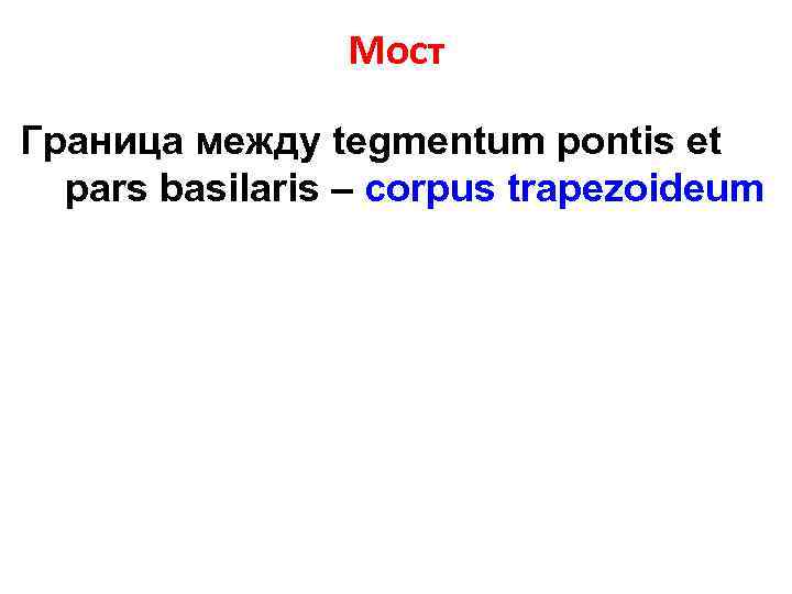 Мост Граница между tegmentum pontis et pars basilaris – corpus trapezoideum 