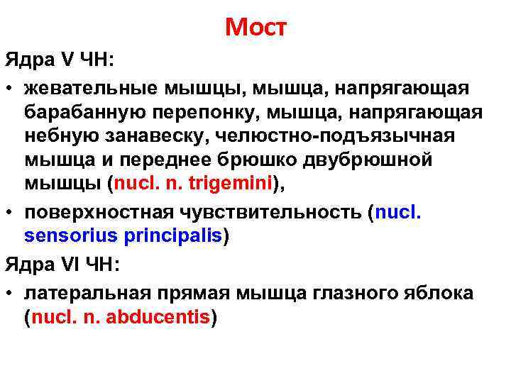 Мост Ядра V ЧН: • жевательные мышцы, мышца, напрягающая барабанную перепонку, мышца, напрягающая небную