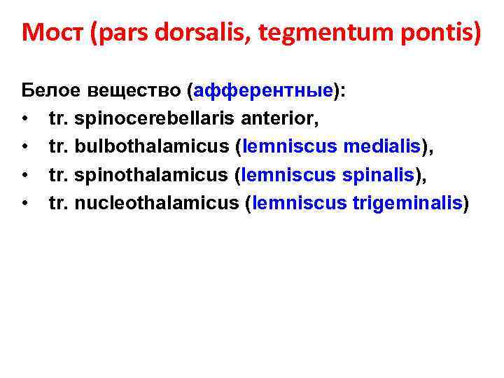 Мост (pars dorsalis, tegmentum pontis) Белое вещество (афферентные): • tr. spinocerebellaris anterior, • tr.