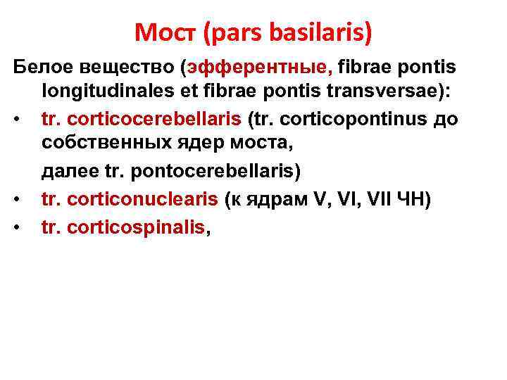 Мост (pars basilaris) Белое вещество (эфферентные, fibrae pontis longitudinales et fibrae pontis transversae): •