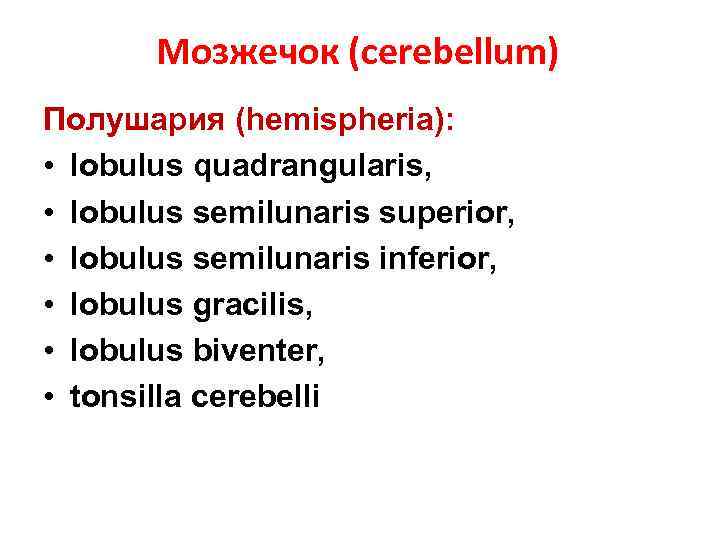 Мозжечок (cerebellum) Полушария (hemispheria): • lobulus quadrangularis, • lobulus semilunaris superior, • lobulus semilunaris