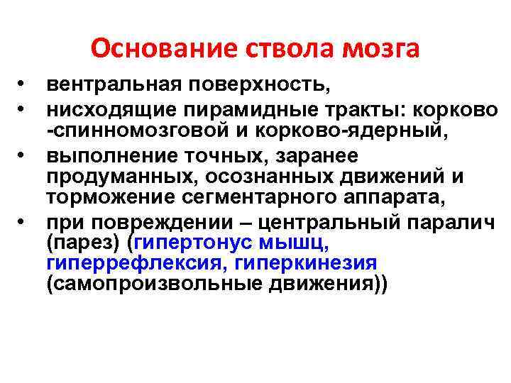 Основание ствола мозга • вентральная поверхность, • нисходящие пирамидные тракты: корково -спинномозговой и корково-ядерный,