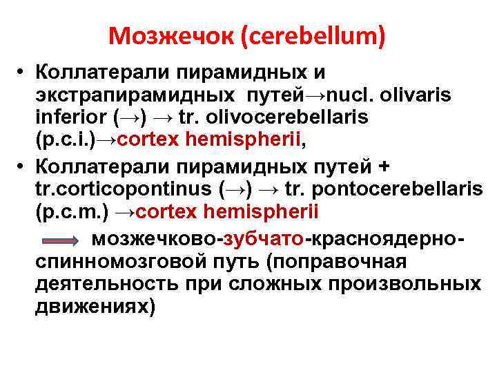 Мозжечок (cerebellum) • Коллатерали пирамидных и экстрапирамидных путей→nucl. olivaris inferior (→) → tr. olivocerebellaris