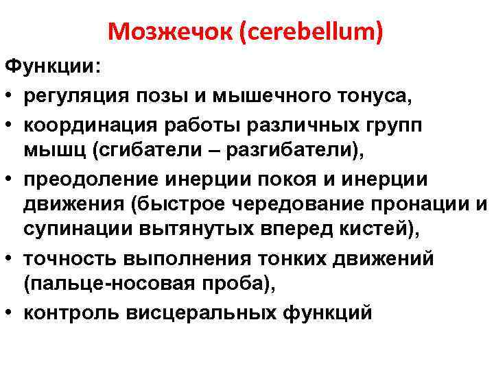 Мозжечок (cerebellum) Функции: • регуляция позы и мышечного тонуса, • координация работы различных групп