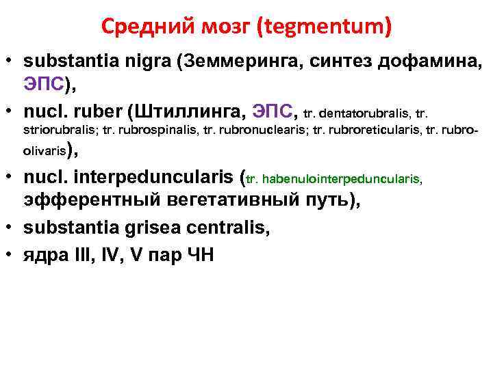 Средний мозг (tegmentum) • substantia nigra (Земмеринга, синтез дофамина, ЭПС), • nucl. ruber (Штиллинга,