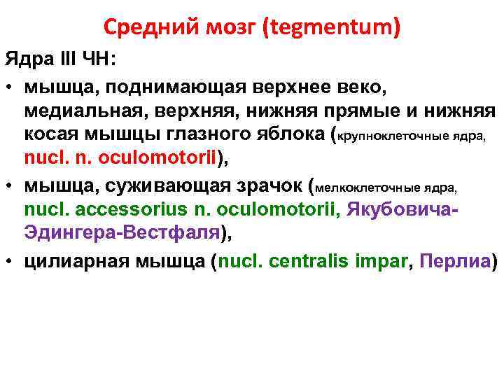 Средний мозг (tegmentum) Ядра III ЧН: • мышца, поднимающая верхнее веко, медиальная, верхняя, нижняя