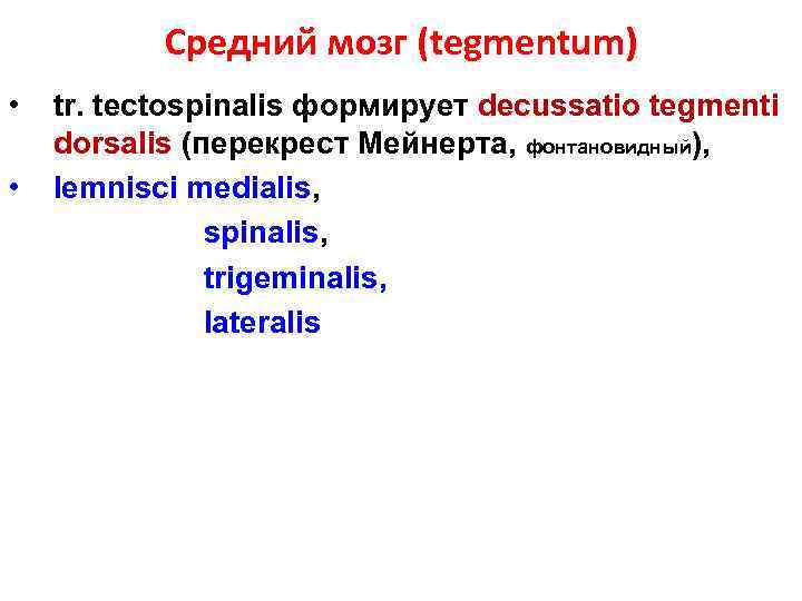 Средний мозг (tegmentum) • • tr. tectospinalis формирует decussatio tegmenti dorsalis (перекрест Мейнерта, фонтановидный),