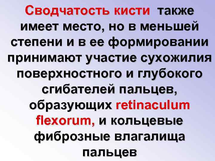 Сводчатость кисти также имеет место, но в меньшей степени и в ее формировании принимают