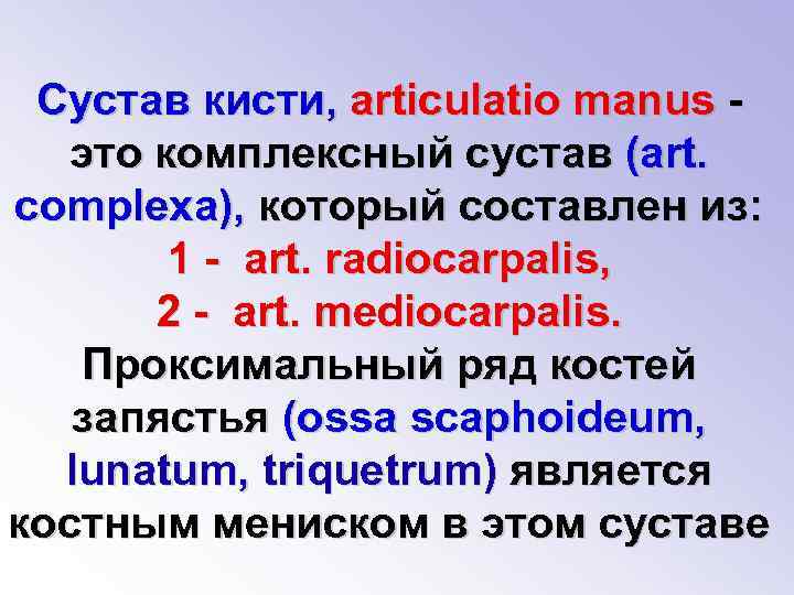 Сустав кисти, articulatio manus это комплексный сустав (art. complexa), который составлен из: 1 -