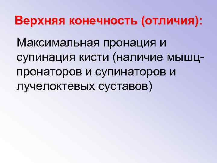 Верхняя конечность (отличия): Максимальная пронация и супинация кисти (наличие мышцпронаторов и супинаторов и лучелоктевых
