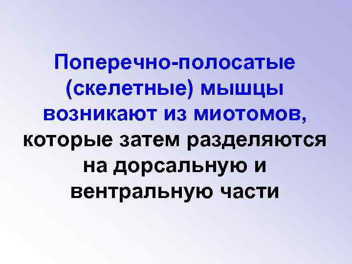 Поперечно-полосатые (скелетные) мышцы возникают из миотомов, которые затем разделяются на дорсальную и вентральную части