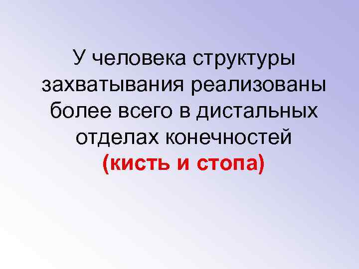 У человека структуры захватывания реализованы более всего в дистальных отделах конечностей (кисть и стопа)