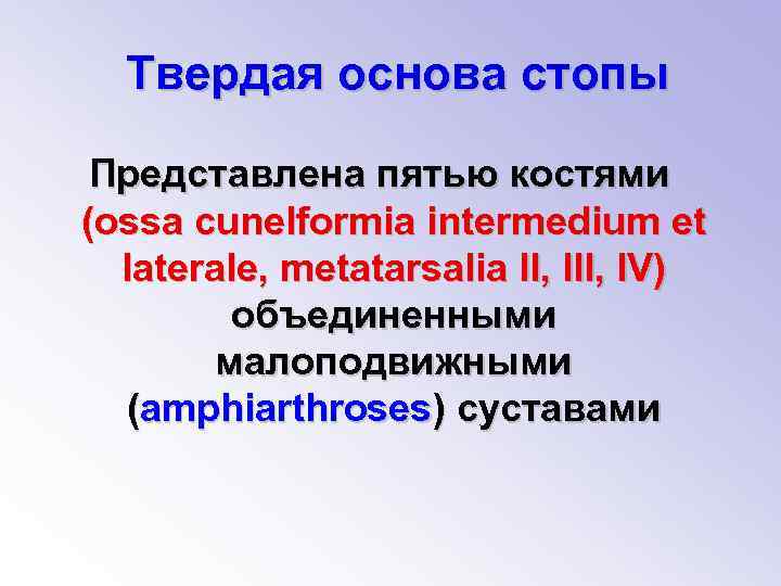 Твердо основа. Твердая основа стопы. Твёрдая основа стопы это соединение. В состав твёрдой основы стопы входит.