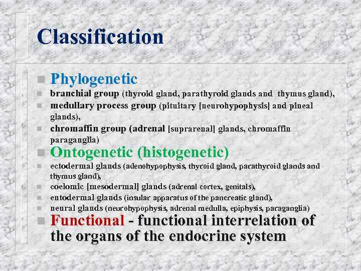 Classification n Phylogenetic branchial group (thyroid gland, parathyroid glands and thymus gland), medullary process